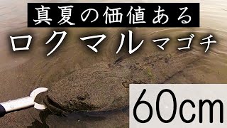 産卵期真っ只中で食いが渋る時期の価値あるロクマルマゴチ！｜マゴチ釣り　マゴチサーフ　マゴチルアー　サーフ釣り　サーフマゴチ　サーフゲーム　サーフルアー　フラットフィッシュ｜【ライトショアジギング】