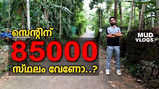 സെന്റിന് 85000 രൂപ വിലയിൽ വാങ്ങാവുന്ന  സ്ഥലം🌲| LAND FOR SALE IN KOZHIKODE |