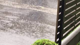 ウェザーリポート動画0814@静岡市清水区10:36 「雨が、かなり降ってます」