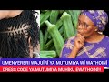 MÎTARATARA YAUTHONDEKI WAJUÎRI HAYÎ MUTUMIYA URARUMÎRÎRA WATHO WA MUTUMBI NAMWÎHUMBÎRE WAKE!! 