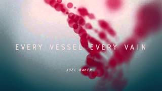 Joel Baker - Every Vessel Every Vein