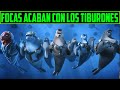 LAS FOCAS SE CANSARON DE SER ALIMENTO DE LOS TIBURONES - EQUIPO FOCA - RESUMEN EN 12 MINUTOS