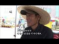 인간극장 레전드 309 2 강아지와 병아리 수상한 삼형제 2 2 kbs 110613 110617 방송