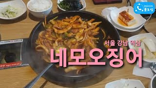 서울 강남 역삼 '네모오징어' [맛집리뷰] [플로잉팬클럽 🦝오소리]