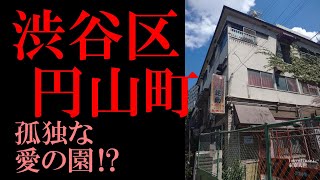 No.513渋谷区・円山町のテーマThe theme music of Maruyamacho in Tokyo(Japan)・東京人世TokyoJinsei