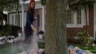 Desperate Housewives: Final Goodbye to Edie Britt (Nicolette Sheridan)