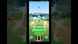 ✨️SHINY Sprigatito✨️ #CommunityDay Recap in Australia #pokemongo