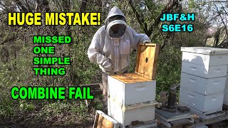 Bee Hive Five Combined with Drone Laying Hive Inspection S6E16 #beekeeping