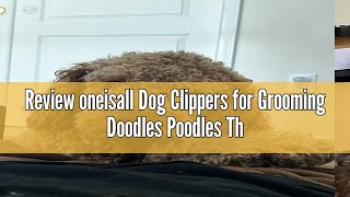 Review oneisall Dog Clippers for Grooming Doodles Poodles Thick Curly Hair,Low Noise Heavy Duty Dog