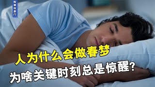 人为什么会做春梦，为啥关键时刻总是惊醒？【科普任意门】