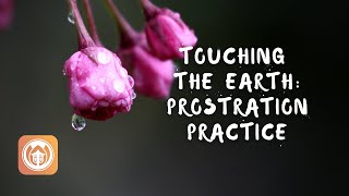 Prostration Practice Instructions | Thich Nhat Hanh