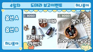 [ doterra l 2023년 8월 도테라보고 4일차 ㅣ 코파이바\u0026코렉트엑스\u0026라벤더 이보다 더 합리적인 구성은 없었다 ]