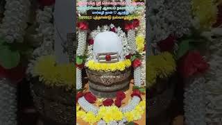 மார்கழி நாள் 17 அதிகாலை ஆரத்தி அருள்மிகு ஸ்ரீ செல்வநாயகி உடனுறை நவநிதீஸ்வரர் ஆலயம் நவாசிப்பேட்டை