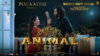 ANIMAL (Tamil) Pogaadhe Song : Ranbir Kapoor,Rashmika M | Karthik,Shreyas P,Mohan R |Sandeep Reddy V