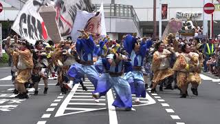 「CHIよREN北天魁｜うちの猫」 第52回 ふなばし市民まつり 2019 7 28 午前の部 駅前①