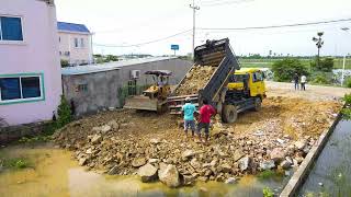 OMG!! Perfectly Project, Land Clearing Brush Using KOMATSU D21P Dozer With Dump Truck 5Ton Unloading