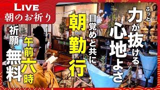 【生配信】ふっと力が抜ける安らぎの朝を ー 朝のお祈り｜四国八十八ヶ所 平等寺｜2025年1月24日