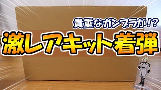 【ガンプラ】激レアキットが！？箱の中身が凄すぎて感動！！【視聴者さんからプレゼント頂きました】