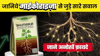 मायकोराइजा: फसलों में अनोखें फायदे और जैविक खेती में महत्व | Mycorrhiza Benefits in Organic Farming