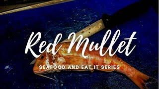 Red Mullet - Filleting and Preparing - Bristol Fish Ltd - Ep10 Hunter Gatherer Cooking HGC