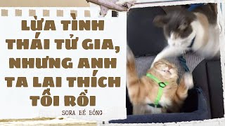 [Truyện Audio ] [FULL] LỪA TÌNH THÁI TỬ GIA, NHƯNG ANH TA LẠI THÍCH TÔI RỒI || Sora Bé Bỏng