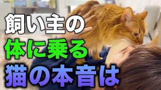 【完全版】飼い主の体に乗ってくる猫の気持ち・本音9選