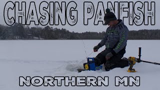 Crappies and Bluegills in Northern Minnesota