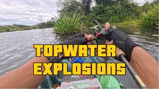 TOPWATER EXPLOSIONS !! LEMBAH LENGGONG | KG BENG MINI AMAZON  #snakehead #toman #miniamazon #VF002