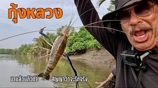 กุ้งแม่น้ำบางปะกง..สัญญาว่าจะรักจริง!! ตกไปเผาไปกินไป @JordSeaman