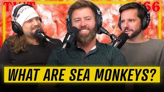 What Actually Are Sea Monkeys? - TWT 166