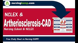 Cardiac Lecture 22 Nursing KAMP's Scribble Notes CAD Cardiovascular Disease Atherosclerosis  NVC22
