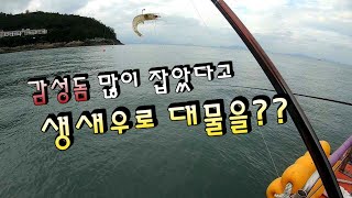 세번째 포인트에서 물반 고기반을 만나다. 거기에 돌돔까지 느낌 아니까~~ 고흥.나로도