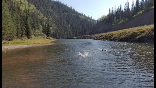 High Altitude Pro Training Camp; Alpine Swims with TriHard