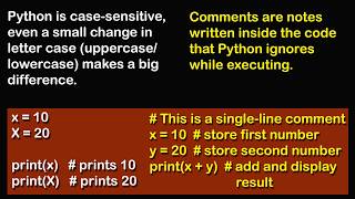 How to use Comments and Case sensitive in python