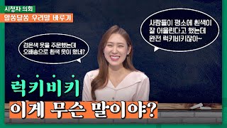 ✔️ 럭키비키 / 중꺾그마 / 디토 | 알쏭달쏭 우리말 바루기｜시청자 의회 674회｜JTBC241108방송