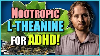 Nootropics For ADHD (The Power Of L-Theanine For Mental Health)