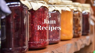 3 Homemade JAM Recipes | NO PRESERVATIVES | Instant Pot