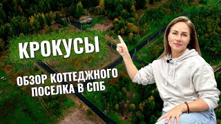 КРОКУСЫ / Обзор коттеджного поселка 2023 / Загородная недвижимость