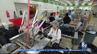 INSIDE LOOK: CCSD gives tour of food service facility