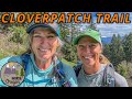 Hiking The Cloverpatch Trail Near Westfir Oregon | A Scenic Journey