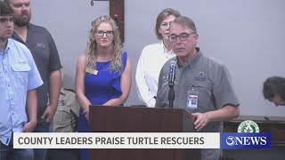 Locals who helped rescue turtles praised for their work