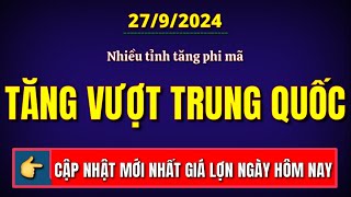 Giá heo hơi hôm nay ngày 27/9/2024 || Nhiều tỉnh tăng nhanh vượt giá lợn Trung Quốc