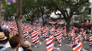 2014 高知よさこい祭り 全国大会 とらっく(一般社団法人 高知県トラック協会) 追手筋北本部競演場