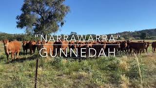 Narrawarra Gunnedah