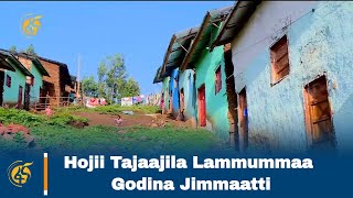 Hojii Tajaajila Lammummaa Godina Jimmaatti