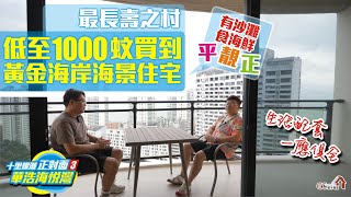 最長壽之村【惠州大亞灣霞涌 | 華浩海悅灣3】低至1000蚊買到黃金海岸海景住宅 | 有沙灘食海鮮平靚正 | 生活配套一應俱全【寰宇筍盤 | 上市公司附屬機構】惠州濱海樓盤 粵港澳大灣區