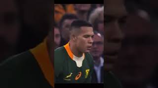 The Cheslin Kolbe Kick 🥶 #southafricarugby