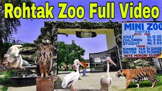 Panipat to rohtak #zoo #rohtak #viedos