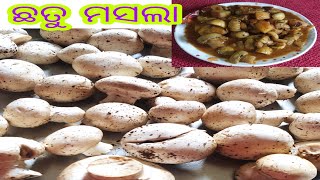 ଏମିତି ଛତୁ ମସଲା ଥରେ କରନ୍ତୁ ସମସ୍ତେ ପସନ୍ଦ କରିବେ  |chatu masala odia recipe |