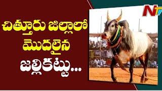 Jallikattu Competition Begins In Chandragiri | Dussehra Celebrations | Chittoor Dist | NTV